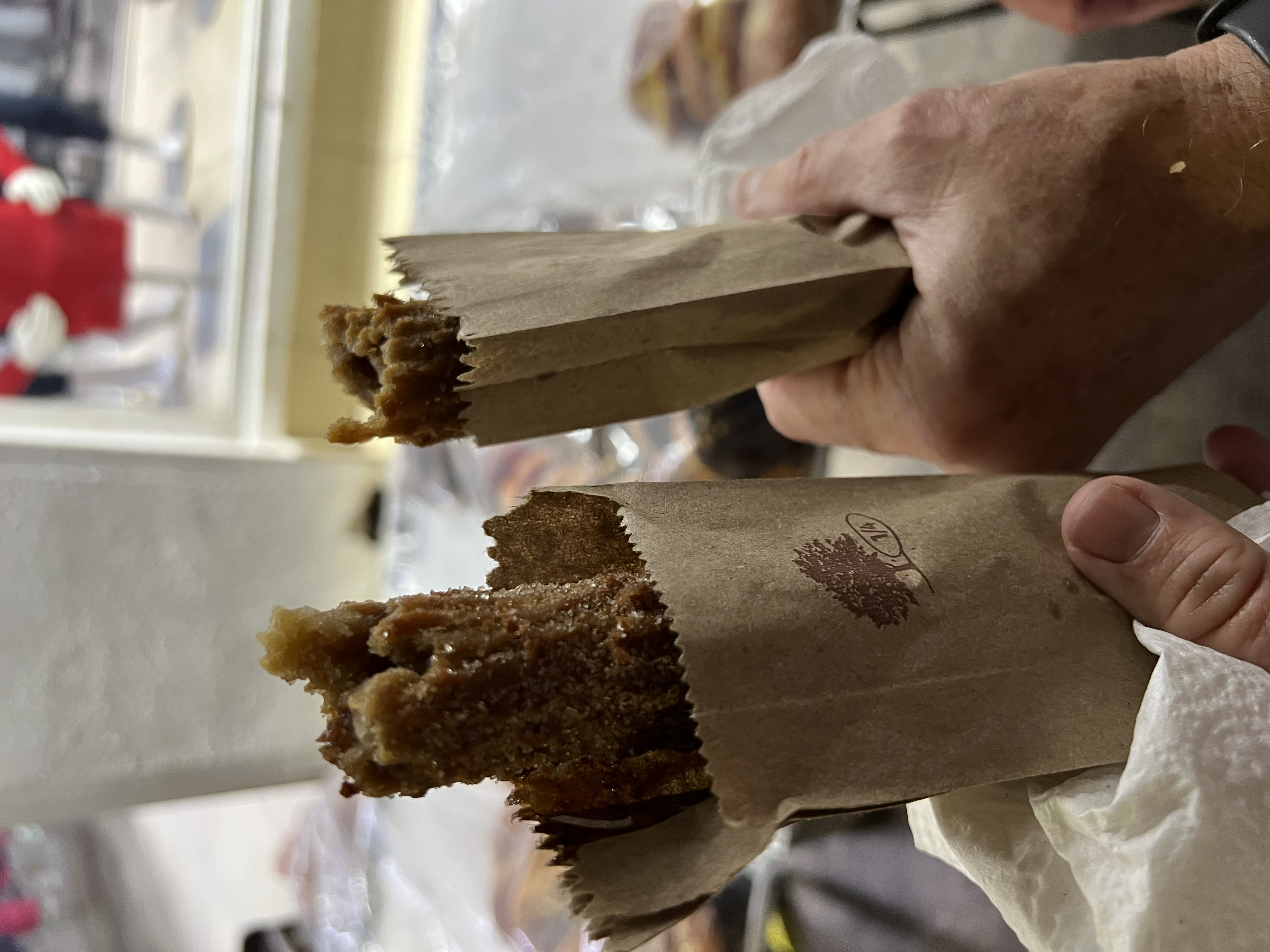 ./2024/13 - Cabo/IMG_4870.jpg